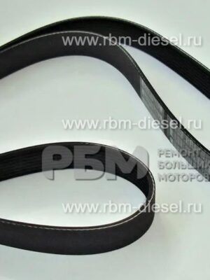 3289034 3034352 Поликлиновый ремень Cummins