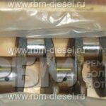 5289840 3974539 Коленчатый вал Cummins