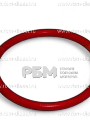3973512 3990084 145533 Уплотнительное кольцо Cummins