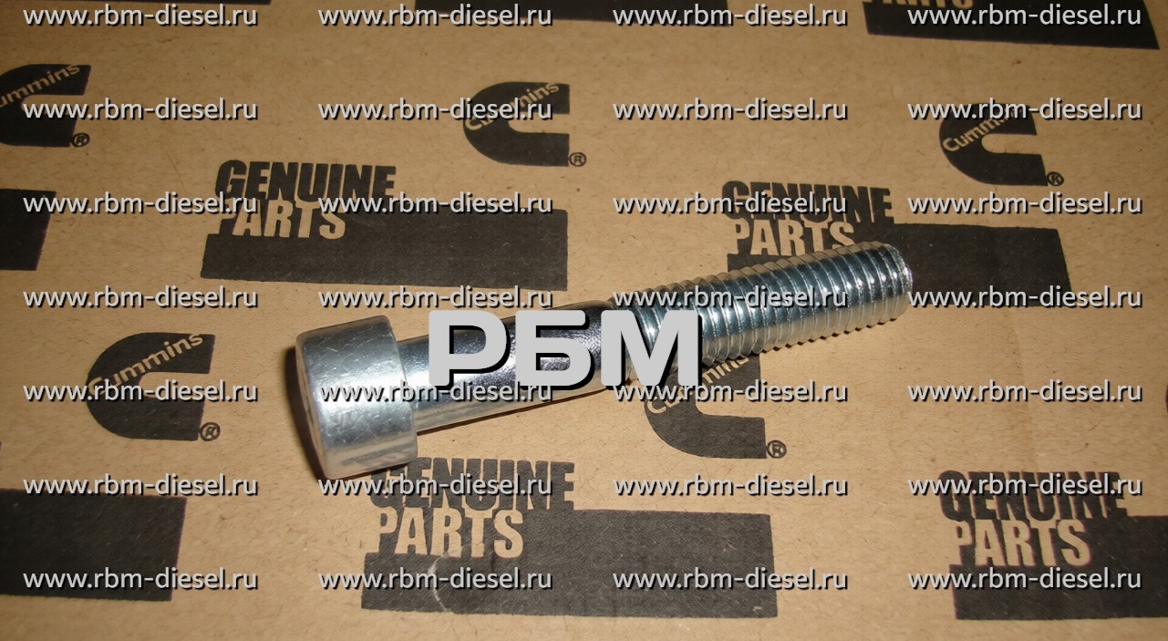 a05313137e43896d34b0acc9f1820c23 (1) 4890875 Винт механизма натяжения ремня Cummins — изображение 1