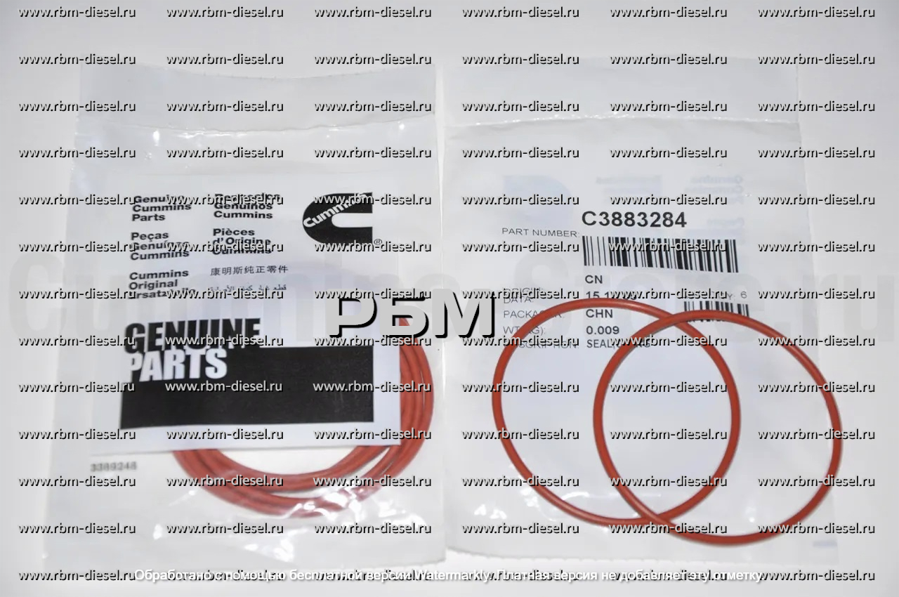 sg_pic_69a14529cf711d0c3593e536 3883284 Кольцо уплотнительное Cummins — изображение 1
