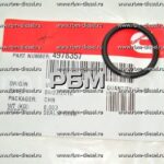 4978357 Уплотнительное кольцо Cummins