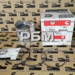 4955549 C6205392190 Комплект поршня двигателя Cummins