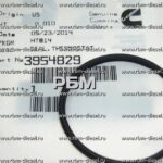 3954829 Уплотнение термостата Cummins