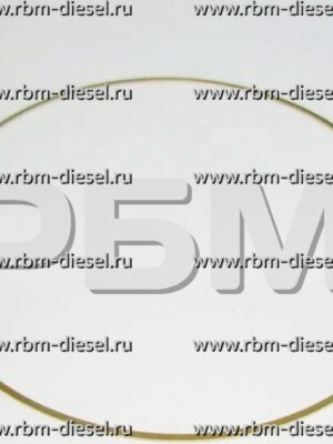 3924446 3914654 Шайба Камминс Cummins