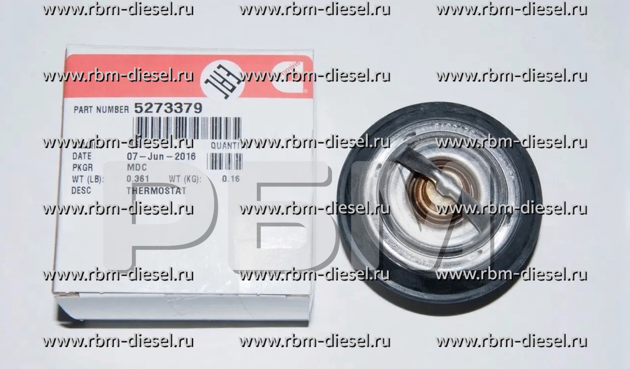 facee_no_watermark (5) (1)