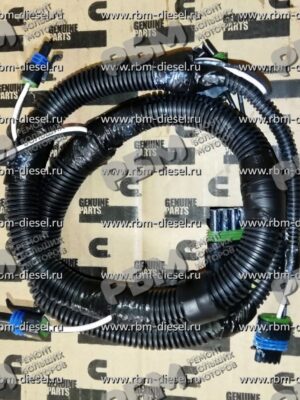 3934686 Жгут проводов Камминз Cummins