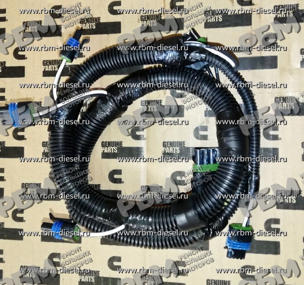watermark-removed-1777362905136
