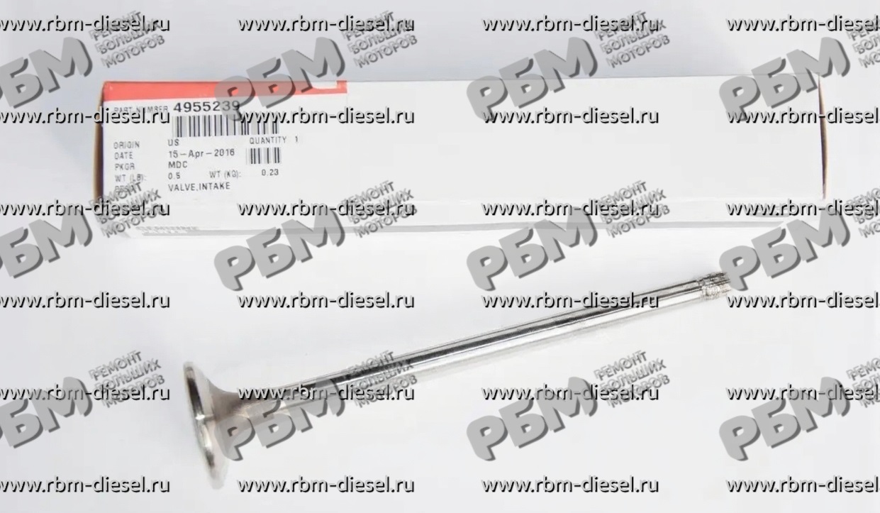 facee_no_watermark (14) (1) 4955239 3800636 3804533 Комплект впускного клапана Cummins — изображение 1