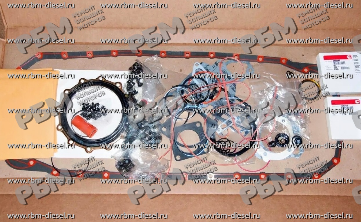 facee_no_watermark (15) (1) 4089998 4089479 3800704 3804749 3803572 3803453 Набор нижних прокладок Cummins — изображение 1