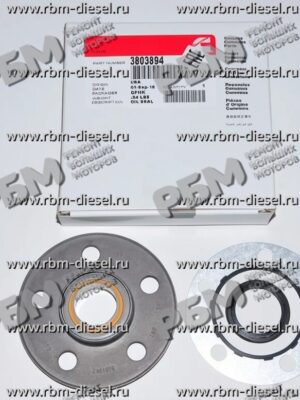 3803894 3161772 Набор уплотнений Камминз Cummins