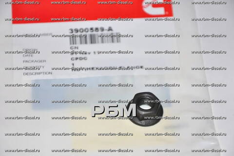 3900589